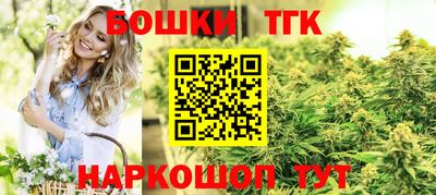 тгк Моздок